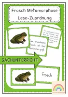 Vorschau - Unterrichtsreihen - Der Frosch - Metamorphose - Lese-Zuordnung - Deckblatt