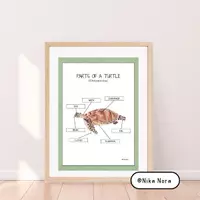 Aperçu - Feuilles d'exercices - Des parties du corps d’une tortue, en anglais. - Page de couverture