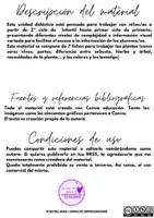 Vista previa - Hojas de trabajo - Plants and flowers - página 1