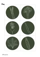Aperçu - Affichage - Les légumes fond vert PicsaLilie - Page 2