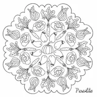 Aperçu - Matériel pour travaux manuels / dessin - Les légumes mandala PicsaLilie - Page de couverture