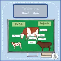 Vorschau - Arbeitsblätter - Materialpaket Rinder Kuh Milch - Deckblatt