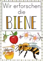 Vorschau - Stundenentwürfe - Forscherheft/Arbeitsblätter: Die Biene - Seite 3