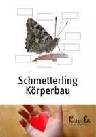 Vorschau - Arbeitsblätter - Kleines Materialpaket "Schmetterlinge" - Seite 1