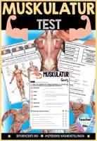 Vorschau - Arbeitsblätter - Die Muskulatur - Der Mensch | Bewegungssystem | Test | Quiz - Arbeitsblätter - Deckblatt