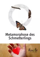 Vorschau - Arbeitsblätter - Lebenszyklus des Schmetterlings – Erstaunliche Metamorphose - Deckblatt