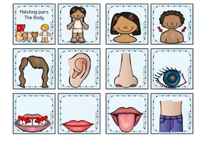 Vorschau - Stationenlernen - Body - Matching pairs / Paare finden - Seite 2