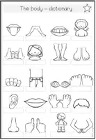 Vorschau - Arbeitsblätter - Body - Activities Writing Reading - Seite 2