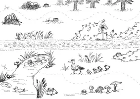 Vorschau - Fördermaterial/Inklusion - Schneiden üben - Feinmotorik - Pferdeausflug, Amazonas ... - Seite 1