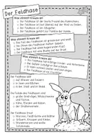 Vorschau - Anderer Materialtyp - Der Hase – Informationskartei mit Fragen (GS 1) - Seite 1