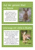 Vorschau - Anderer Materialtyp - Der Hase – Informationskartei mit Fragen (GS 1) - Seite 3
