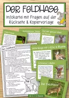Vorschau - Anderer Materialtyp - Der Hase – Informationskartei mit Fragen (GS 1) - Deckblatt