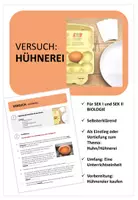 Vorschau - Stundenentwürfe - Versuch Hühnerei (Huhn, Ei, Vogel) - Deckblatt