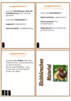 Vorschau - Arbeitsblätter - Lernkartei - Das Eichhörnchen - Seite 2
