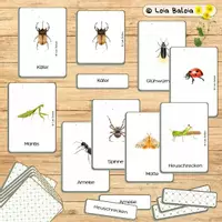 Aperçu - Apprentissages en autonomie - Les insectes en ALLEMAND - Cartes Montessori. - Page de couverture