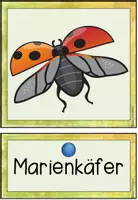 Vorschau - Stationenlernen - Der Marienkäfer - Bild- und Wortkarten - Seite 2