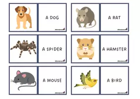 Aperçu - Jeux - Memory Pets - Page de couverture