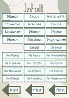 Vorschau - Stundenentwürfe - Tafelbild: Die Nahrungsbeziehungen der Wiese - Seite 1