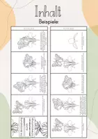 Vorschau - Stundenentwürfe - Leporello: Die Bestäubung durch Schmetterlinge - Seite 3