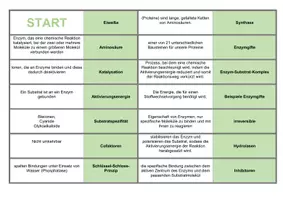 Vorschau - Spiele - Domino Rund um Enzyme - Deckblatt