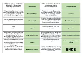 Vorschau - Spiele - Domino Rund um Enzyme - Seite 2