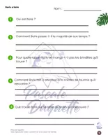 Aperçu - Feuilles d'exercices - Déforestation OrangOutan : Texte Narratif 3e cycle - Page 3