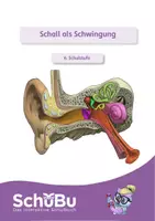 Vorschau - Arbeitsblätter - Schall als Schwingung (interaktiv) - Deckblatt