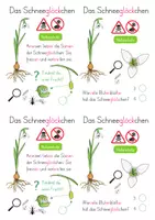 Vorschau - Stationenlernen - Schneeglöckchen - Forscheraufgaben - Seite 2