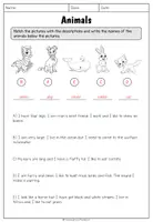 Vorschau - Arbeitsblätter - Animals - Reading Worksheet - Seite 2