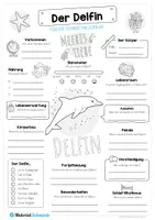 Vorschau - Arbeitsblätter - Steckbrief Delfin - Seite 1