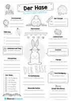 Vorschau - Arbeitsblätter - Steckbrief Hase - Seite 1