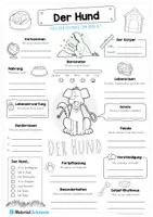 Vorschau - Arbeitsblätter - Steckbrief Hund - Seite 1