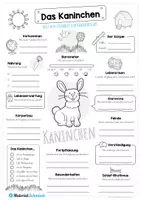 Vorschau - Arbeitsblätter - Steckbrief Kaninchen - Seite 1