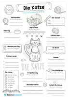 Vorschau - Arbeitsblätter - Steckbrief Katze - Seite 1