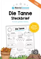 Vorschau - Arbeitsblätter - Steckbrief: Die Tanne - Deckblatt