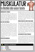 Vorschau - Unterrichtsreihen - Die Muskulatur | Bewegungssystem | Der Mensch - Infomaterial & Arbeitsblätter | Muskelaufbau für Kinder - Gesunde Muskeln - Interessante Fakten - Seite 3