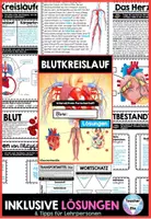 Vorschau - Stundenentwürfe - Blutkreislauf - Interaktives Forscherheft - Der Mensch | Herz – Blut – Arterien – Venen – Kapillaren – Blutbestandteile – Lungenkreislauf – Körperkreislauf – sofort einsetzbar - Seite 3