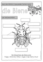 Vorschau - Anderer Materialtyp - Die Biene - Kopiervorlage 1. Klasse - Seite 1