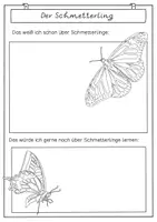 Vorschau - Stundenentwürfe - Materialpaket Schmetterling - Lebenszyklus, Heimische Schmetterlinge, Arbeitsblätter & Experimente - Seite 2
