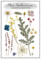 Vorschau - Arbeitsblätter - Herbarium - begleitendes Arbeitsheft + Vorlagen - Seite 1