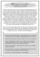 Vorschau - Arbeitsblätter - Herbarium - begleitendes Arbeitsheft + Vorlagen - Seite 3