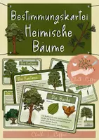 Vorschau - Unterrichtsreihen - Bestimmungskartei Heimische Bäume - Wissenskartei & Lesekartei zu Laub- & Nadelbäumen - Deckblatt