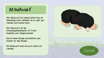 Vorschau - Interaktives Material - Tiere der Wiese interaktive PDF - Seite 3