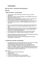 Vorschau - Stundenentwürfe - Mathematikus - Seite 3
