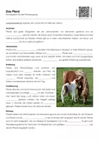 Vorschau - Arbeitsblätter - Das Pferd (Materialpaket) - Seite 1