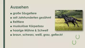 Vorschau - Präsentationen/Tafelbilder - Pferd (Präsentation und H5P) - Seite 1
