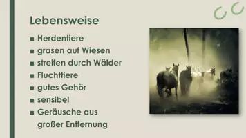 Vorschau - Präsentationen/Tafelbilder - Pferd (Präsentation und H5P) - Seite 2