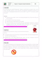 Vorschau - Arbeitsblätter - wahre Schönheit: temporäre Gewichtsreduktion- Flipchart - Seite 3