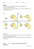 Vorschau - Arbeitsblätter - LK angeborene/erworbene Reflexe (inkl. Lösungen) - Seite 1