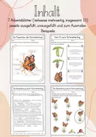 Vorschau - Stundenentwürfe - Materialpaket: Der Schmetterling - Seite 2